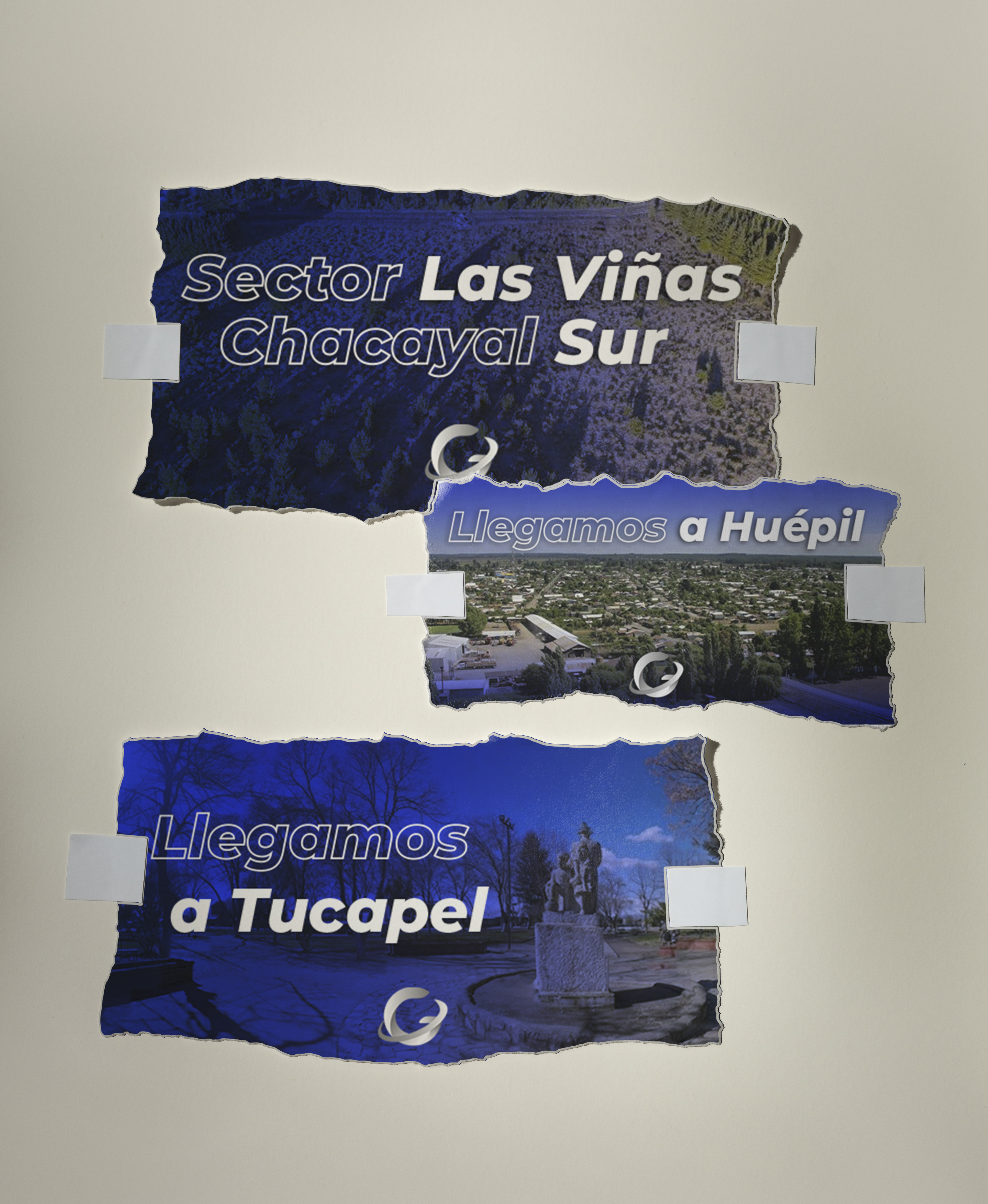 Chacayal huepil tucapel.jpg