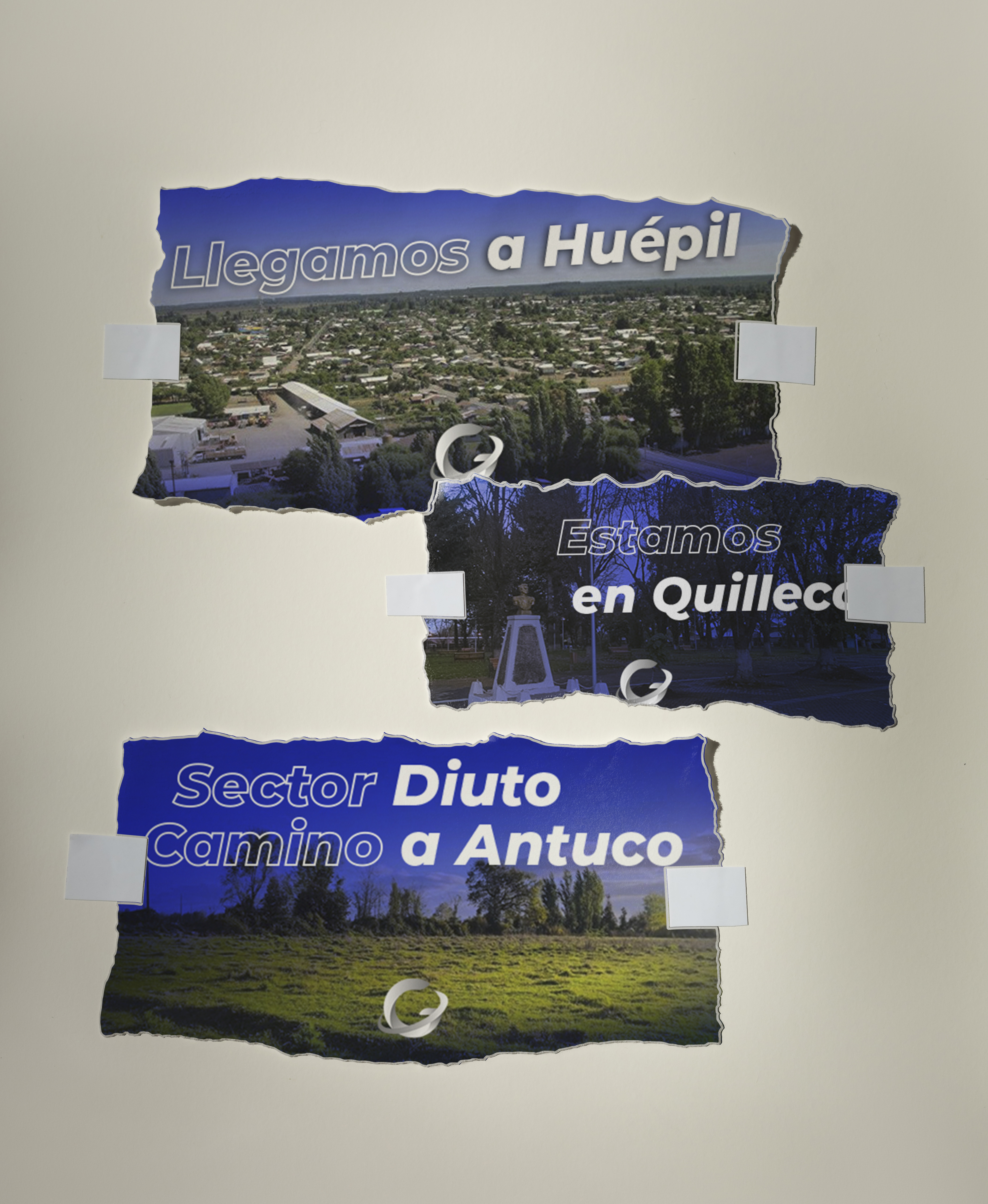 Huepil quilleco antuco.jpg